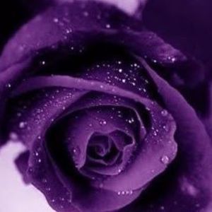 Meet your Posher, Nazneen